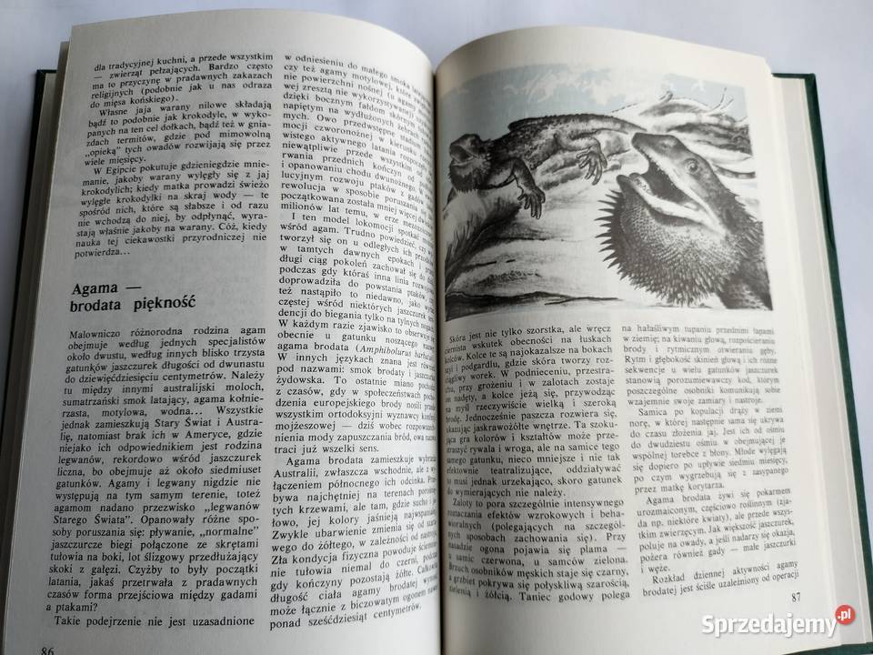 Przystosowani pożyją dłużej Zuzanna Stromenger biologia, ekologia pomorskie