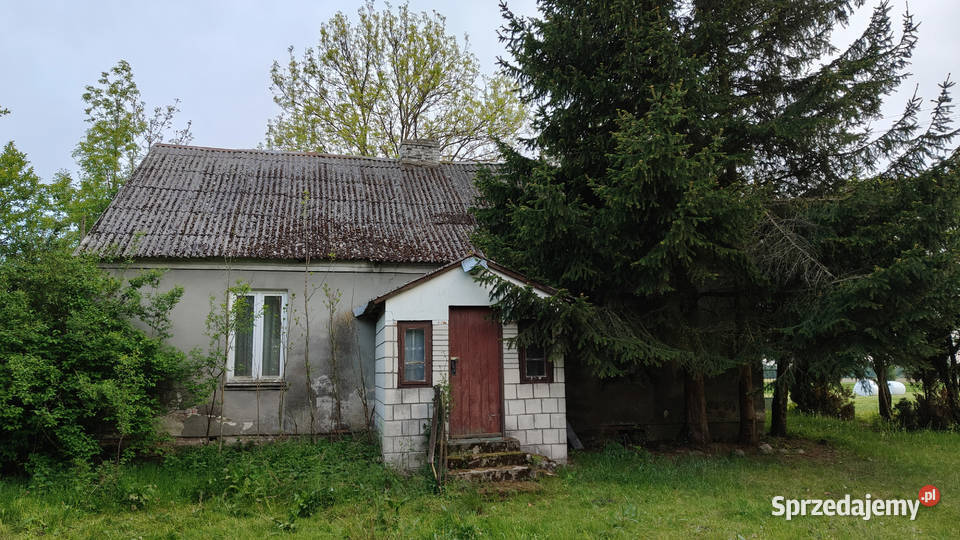 Sprzedam Siedlisko 358ha Budziska Latowicz mazowieckie