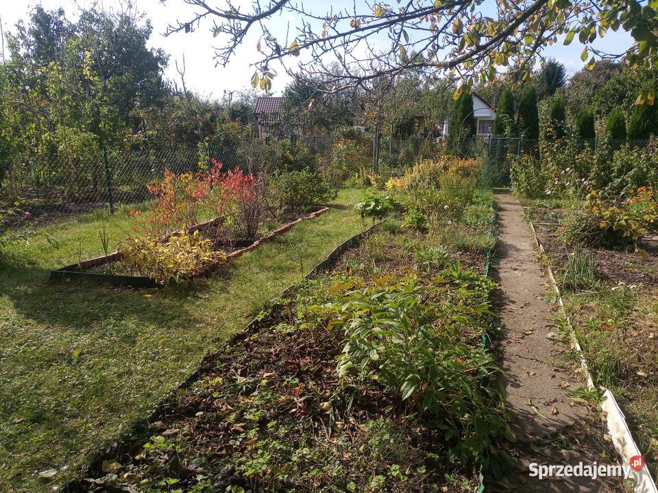 Sprzedam działkę ROD Zakole Wisły Kraków