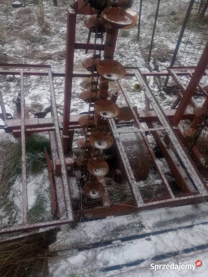 Sadzarka do ziemniaków podkiełkowanych