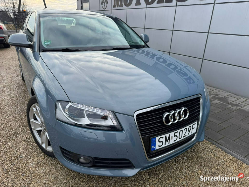 Audi A3 Sportback 16 mpi xenon pełny serwis 8P VAT marża Chełm Śląski