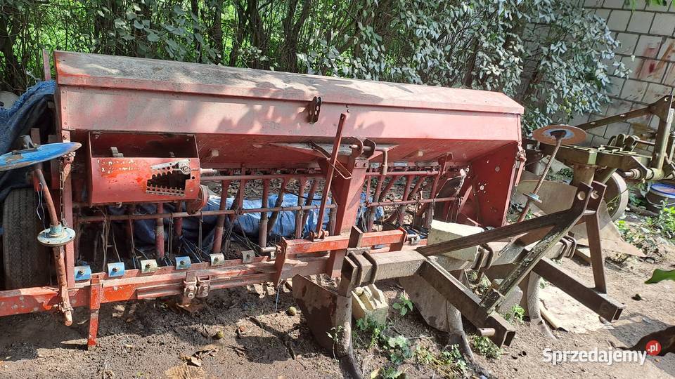 Siewnik Stegsted lubelskie Tomaszów Lubelski