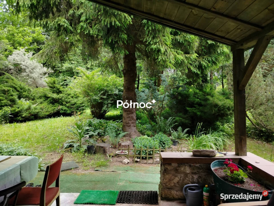 piękne ranczo z łąką i lasem pod HoryńcemZdrojem polna Dziewięcierz