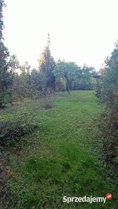 Działka ogrodowa Ogródek ROD Wrocław Sępolno
