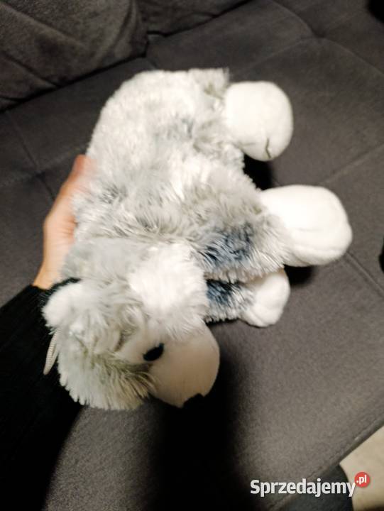 pluszowa poduszka w kształcie psa husky marki Zabawki