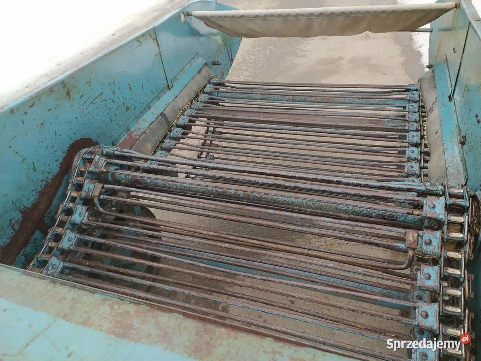 Kopaczka do ziemniaków Elewatorowa 2rzędowa Dąbrowa Tarnowska