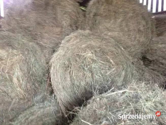 słoma x40 bele Wierzbica Trawy, słoma Chylin