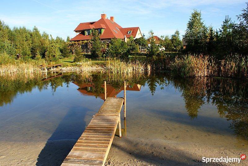 Dom dworek z działką 27ha pod Toruniem