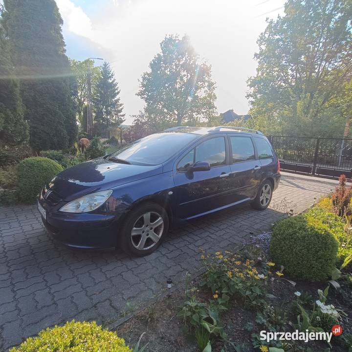 Peugeot 307sw 2004 Radom
