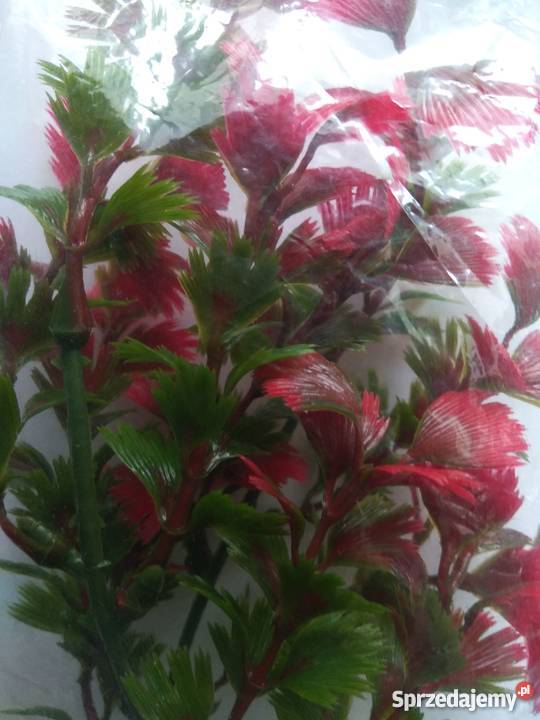 Sztuczna roślina akwarystyczna Warszawa sprzedam