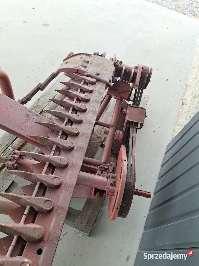 Podcinacz do porzeczek krzewów Skrzypaczowice sprzedam