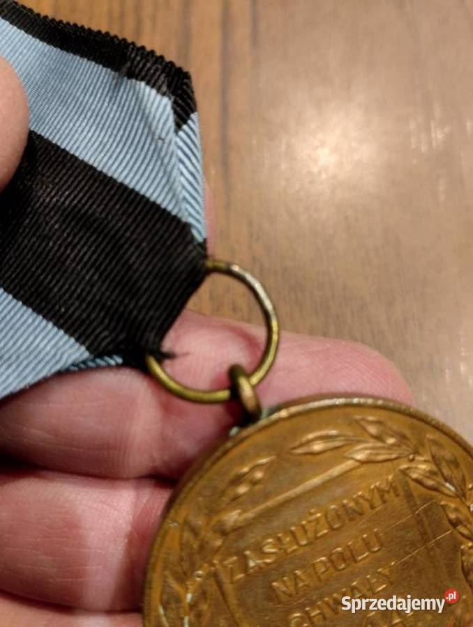 Zasłużonym Na Polu Chwały brązowy Poznań sprzedam