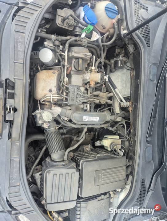 Audi A3 8P Prime Line automat relingi dachowe wielkopolskie Żelazków sprzedam