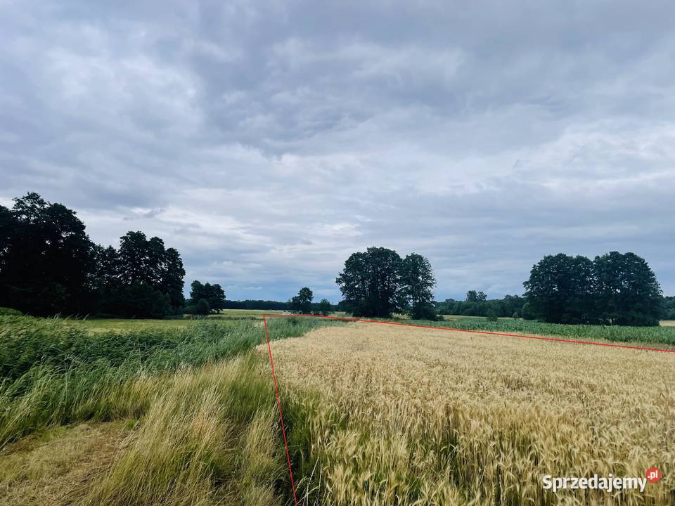 162 ha Siedlisko 4 ary działka orna i łąki 4zł/m2 Trojanów