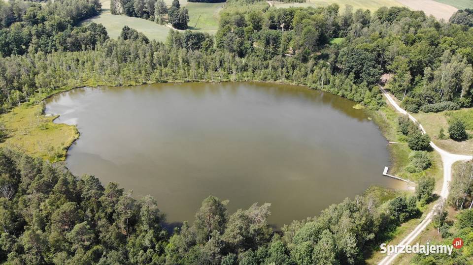 Działka na Kaszubach Stary Barkoczyn