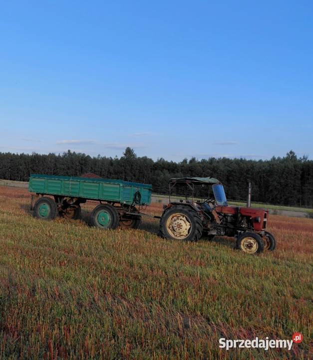 Ciagnik Ursus c328 1963 ciapek zabytek traktor lubelskie Biłgoraj