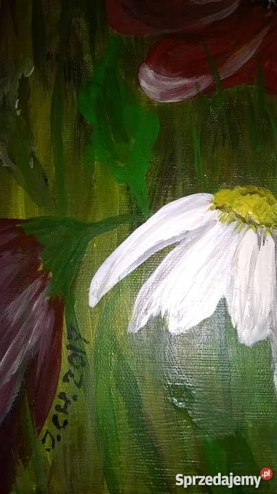 Łąka z makami akryl na płótnie Oleśnica