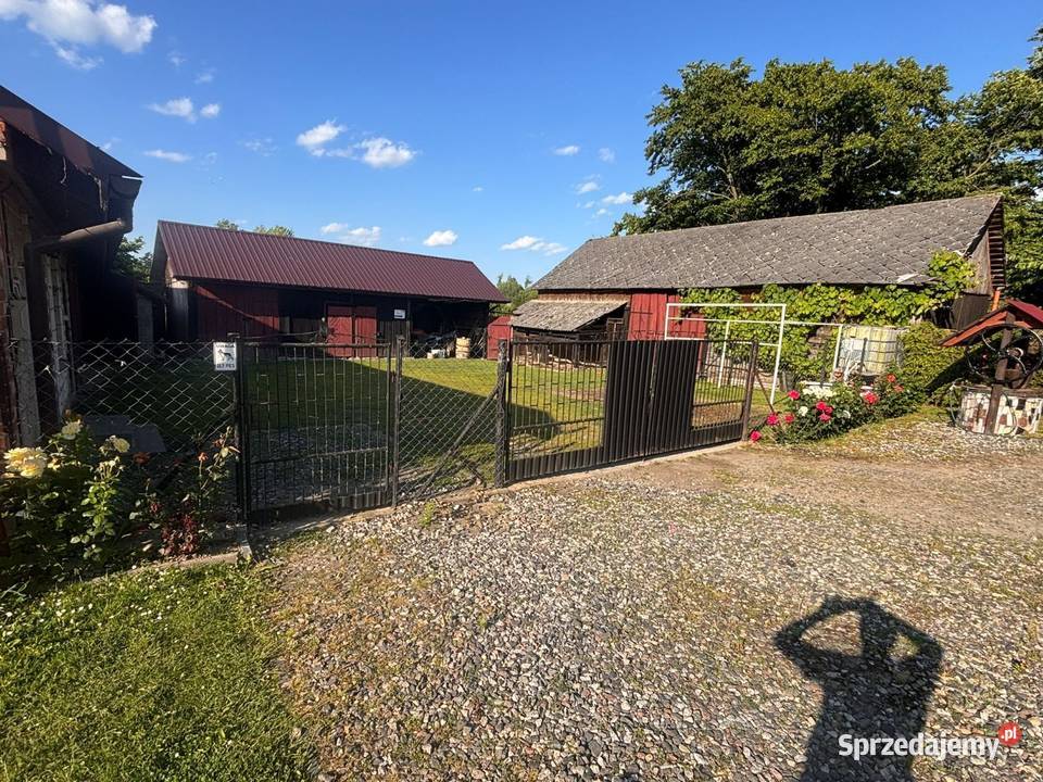 Dom siedlisko 8800m2 Średnie Małe sprzedam