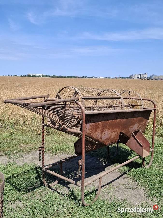 Sortownik do ziemniaków Strzelno