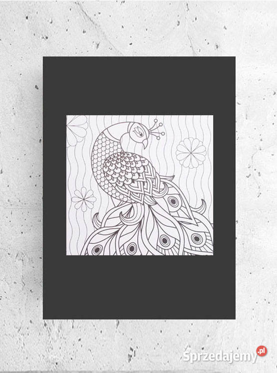 biało czarny plakat z ptaszkiem czarno biały warmińsko-mazurskie Olsztyn