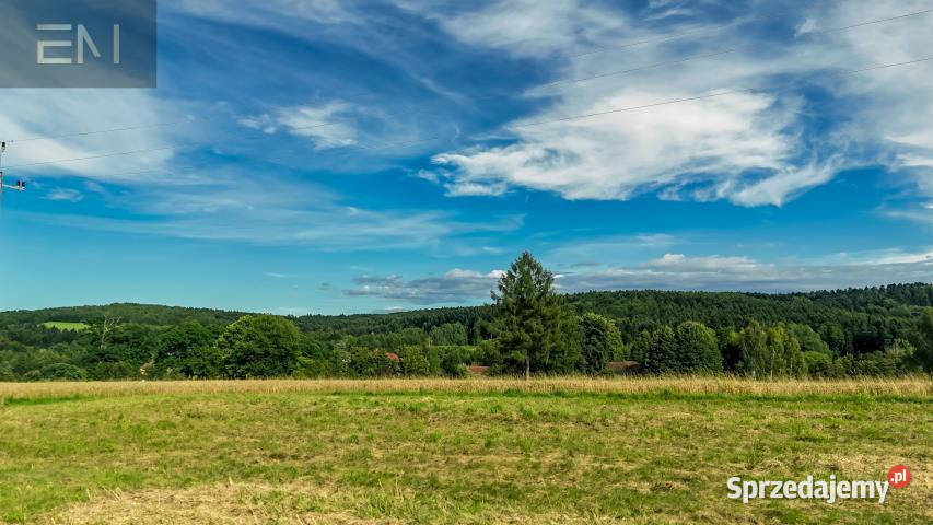 sprzedaży gruntu Konieczkowa 1752m2 69zł/m2 podkarpackie