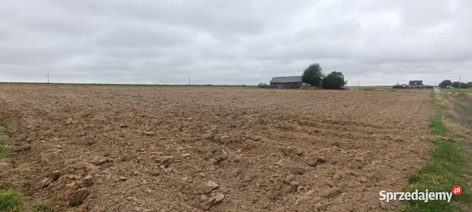 Działka Wierzchowiska Pierwsze 7540m2