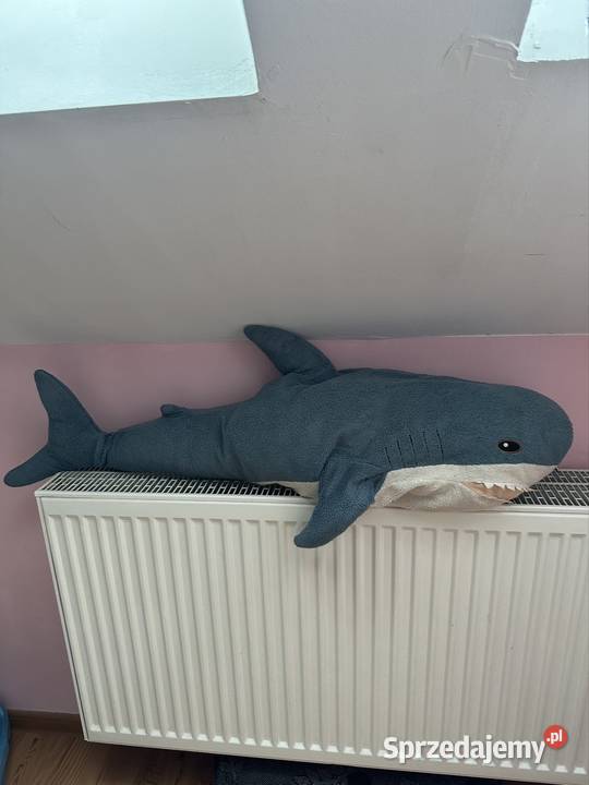 Zabawka xxl rakinek małopolskie