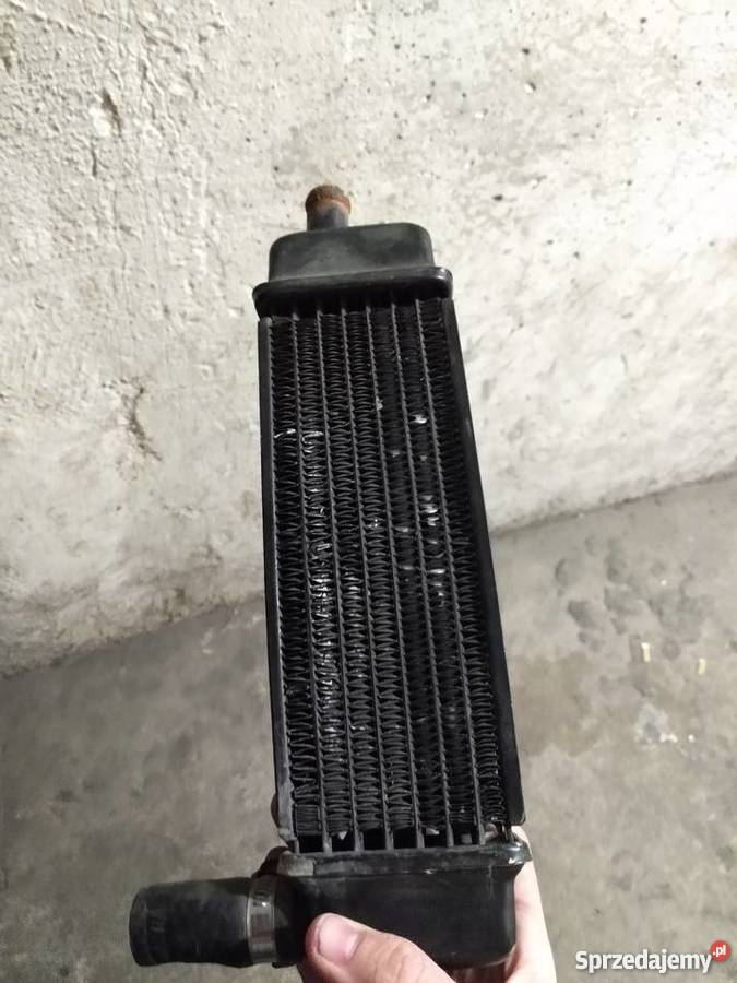 chłodnice Malaguti f12 Tanio Szybka wysyłka Rok produkcji 2000 wielkopolskie Siemianice sprzedam