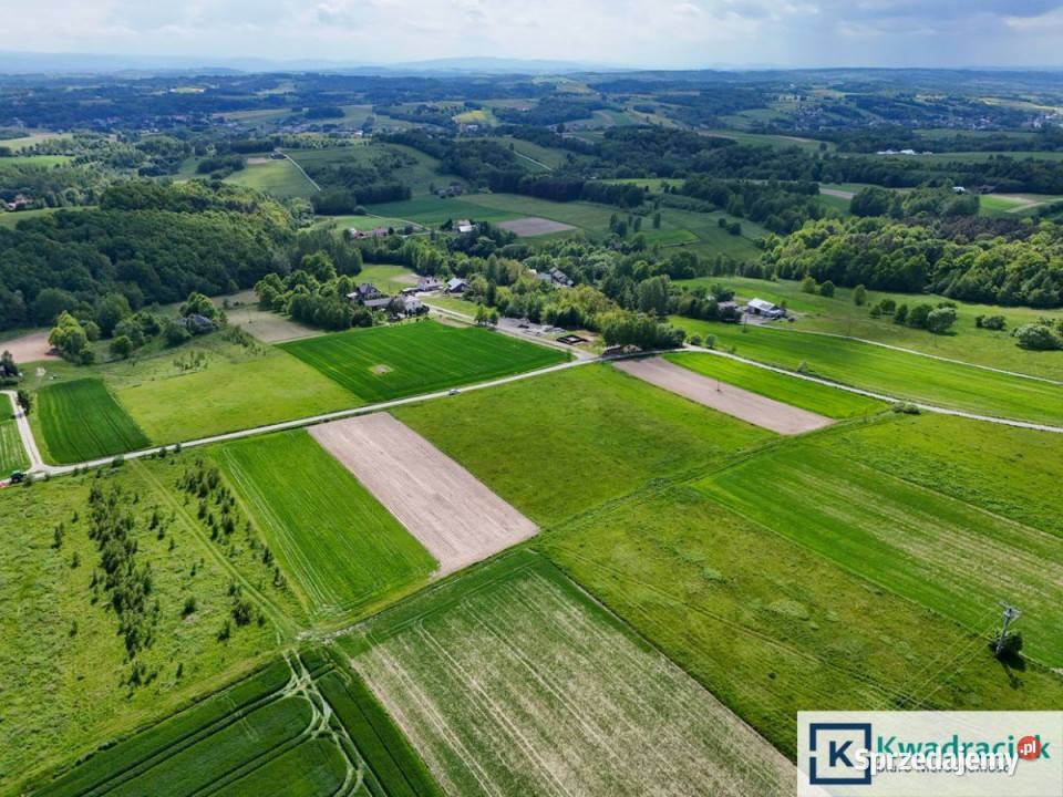 sprzedaży działki 10500m2 Czermna 102m
