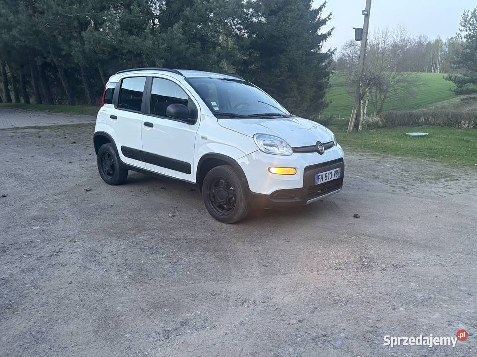 Panda 4x4 niski przebieg kurtyny powietrzne Mikołów