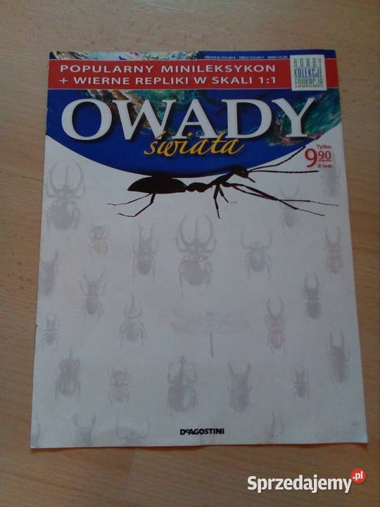 Gazetka owady Szczecin