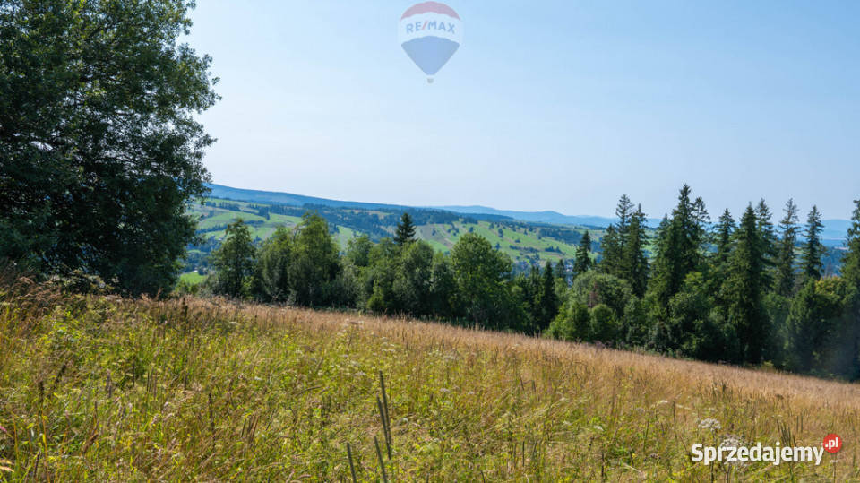 Twój kawałek natury z widokiem na Tatry Dzianisz