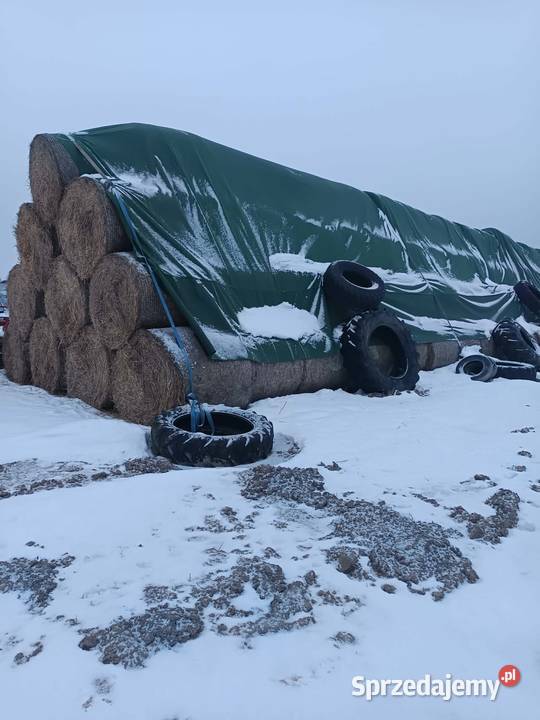 Słoma Sprzedam Słome