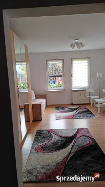 Kawalerka z tarasem Poznań