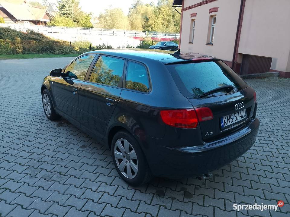 Sprzedam Audi a3 19TDI 105 2006r klima stan ogranicznik prędkości
