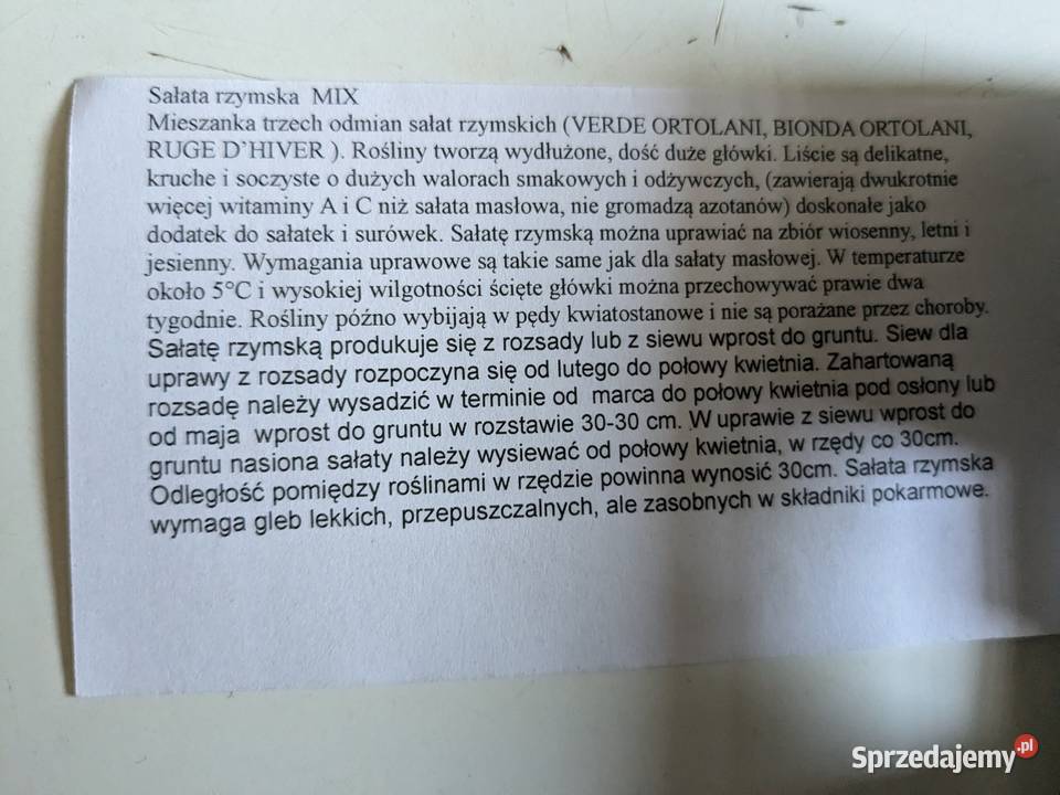 Nasiona Sałata rzymska mix krucha soczysta małopolskie Kraków