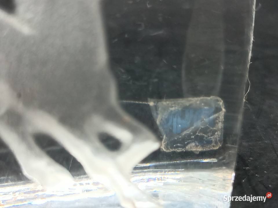 Szkło vintage przycisk do papieru koń źrebak Zamość