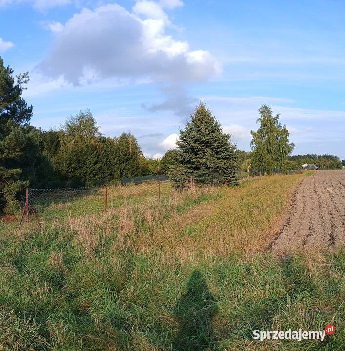 Pałecznica Kolonia Pałecznica-Kolonia
