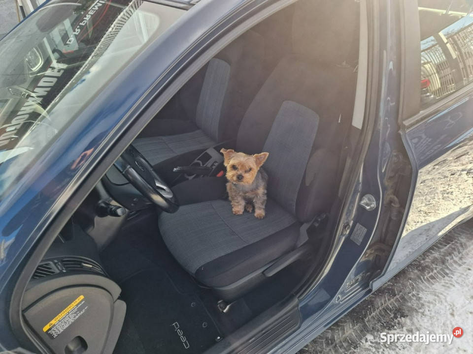 Kia Ceed 14 Benzyna 90 Lifcie Klimatyzacja klimatyzacja Słupsk