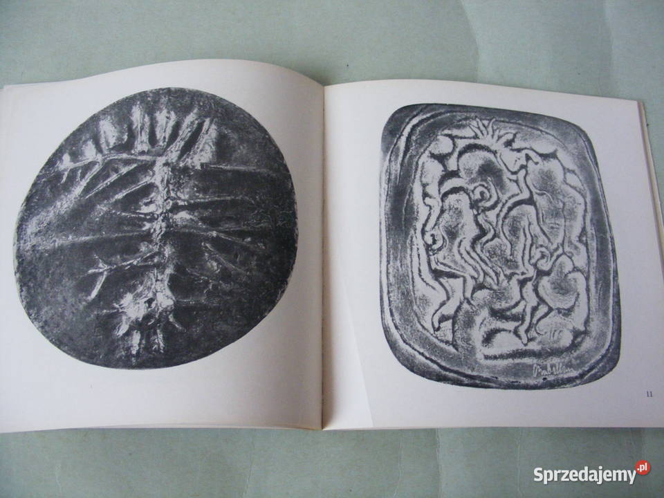 Warowny gród z epoki żelaza Biskupin Soberski Poradniki, albumy i reportaże Oborniki Śląskie sprzedam