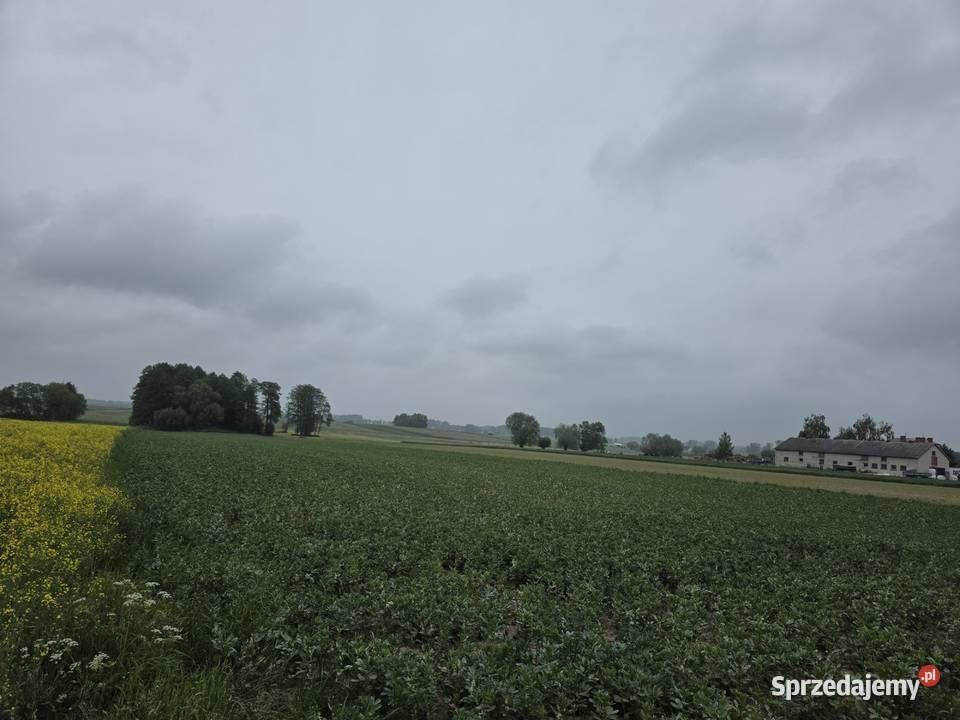 Działka rolna 8313m2 III klasa ziemi 222m Regimin