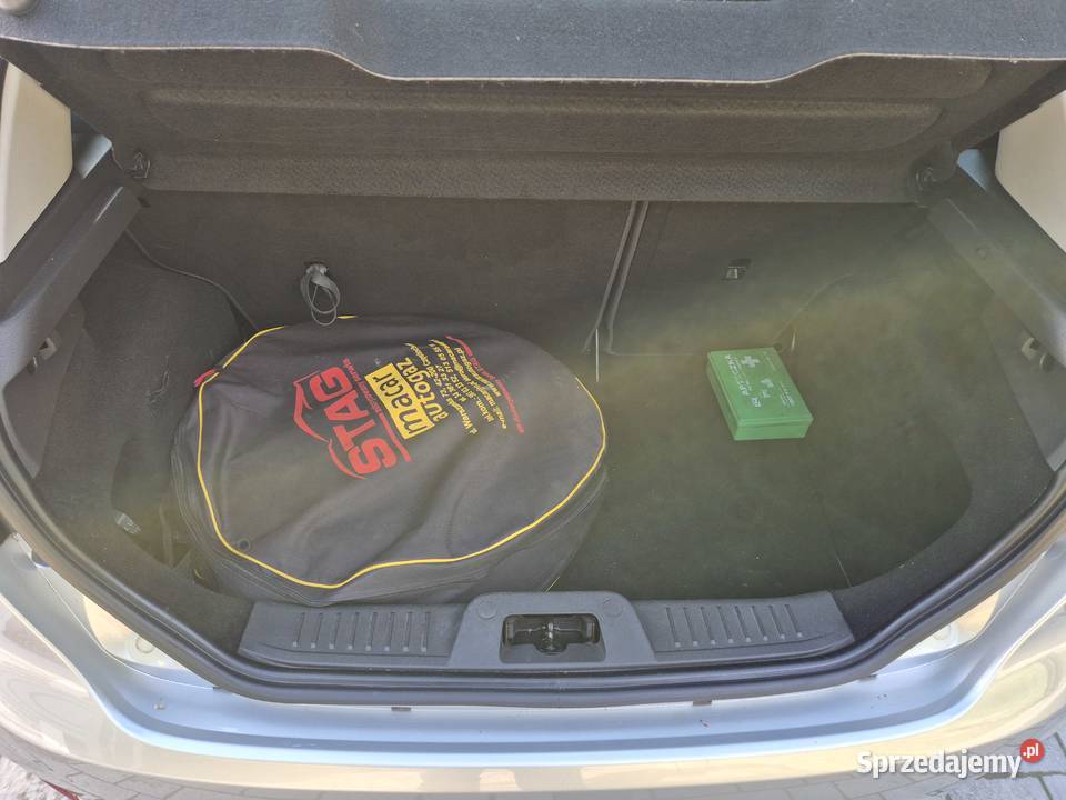 Ford Fiesta śląskie Częstochowa