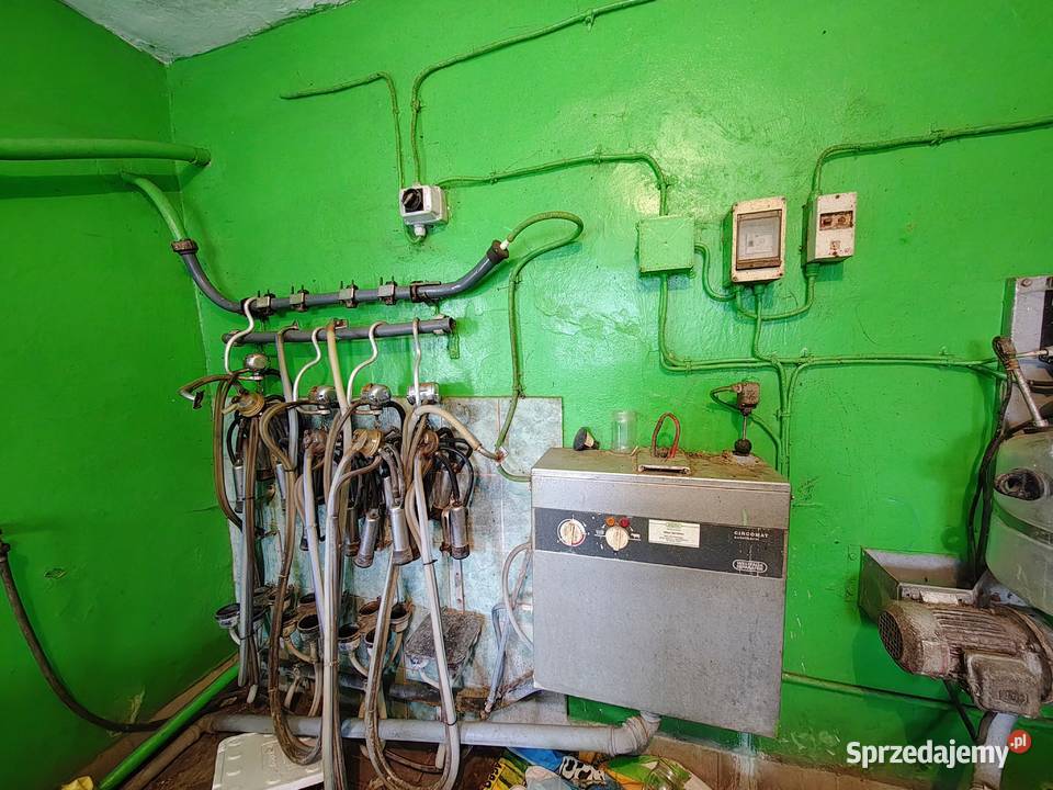 Dojarka Westfalia Osięciny