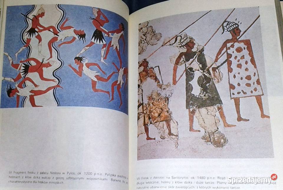 Homer i epoka heroiczna J V Luce Chełm