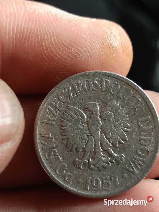 Sprzedam monete 50 groszy 1957 xz Chełm sprzedam