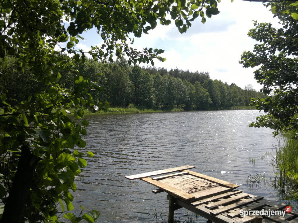 Rogóźno 1261m2 piękna działka rzeki i lasu 33m Sprzedaż mazowieckie