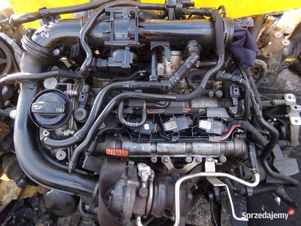 EOS SCIROCCO GOLF JETTA TIGUAN 14 TSI 12r 160 osobowe świętokrzyskie Suków