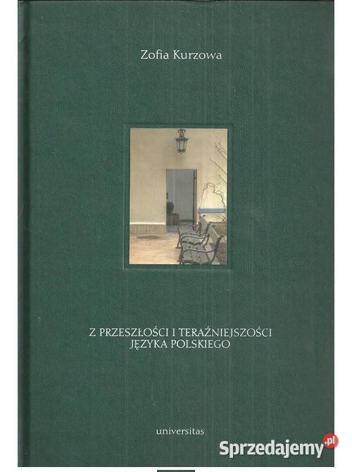 Z przeszłości i teraźniejszości języka polskiego łódzkie Łódź