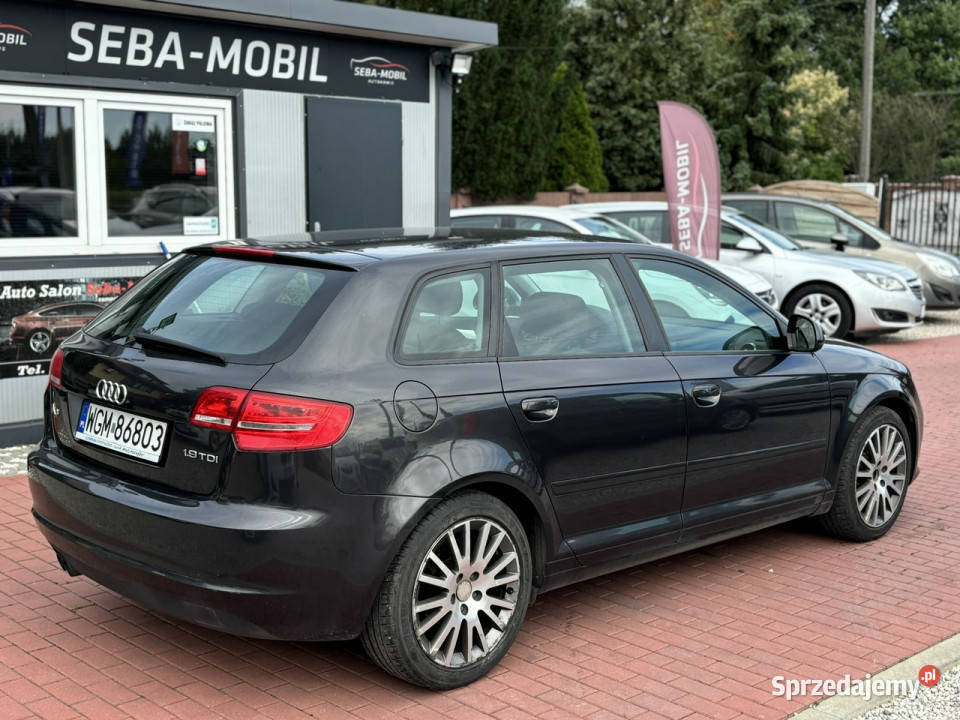 Audi A3 Gwarancja 19TDI 8P 20032012 światła przeciwmgielne Sade Budy