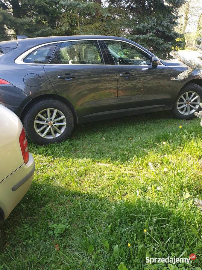 Jaguar Fpace jasna skora zadbany Złotoryja